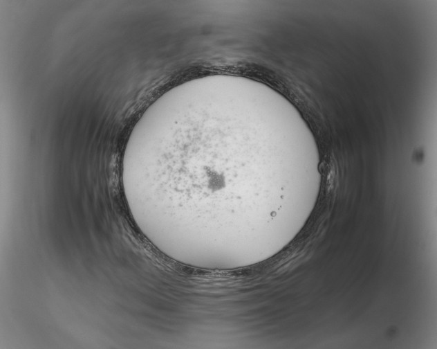 X0000116271156200912211752