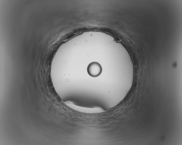 X0000116271157200912211752