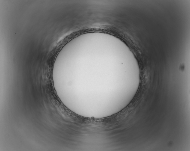 X0000116271158200912211752