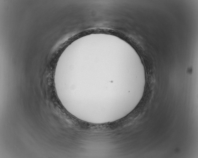 X0000116271159200912211752