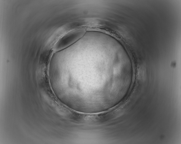 X0000116271161200912211752
