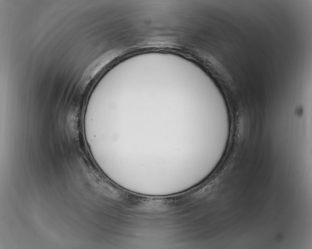 X0000116271162200912211752
