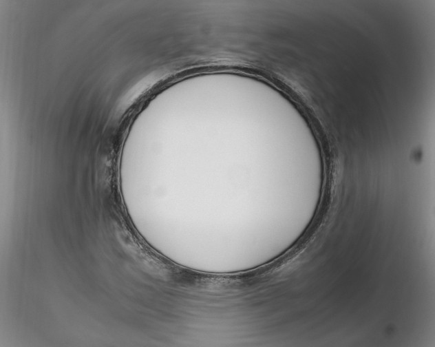 X0000116271163200912211752