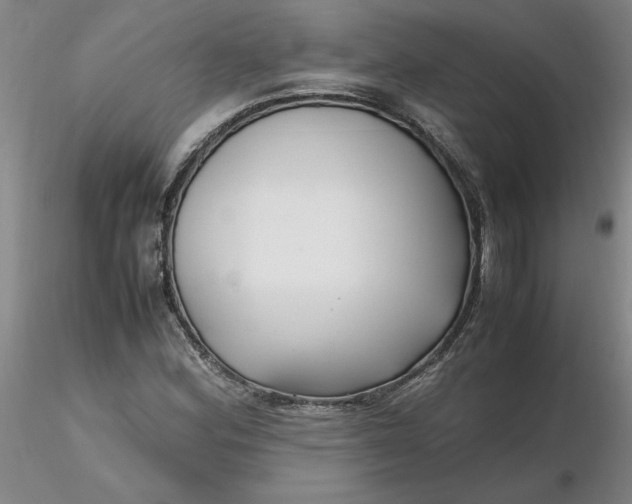 X0000116271164200912211752