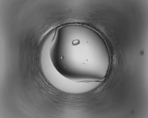 X0000116271165200912211752
