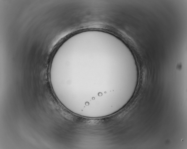 X0000116271166200912211752