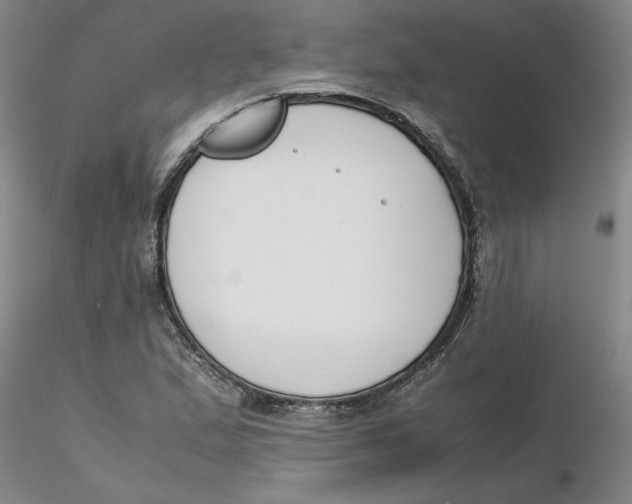 X0000116271167200912211752