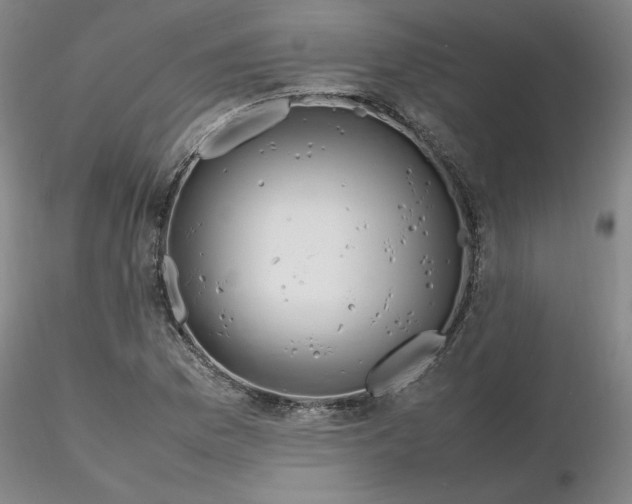 X0000116271169200912211752