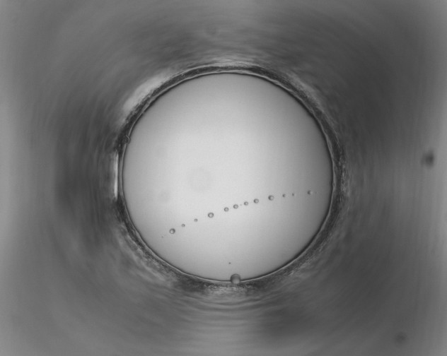X0000116271171200912211752