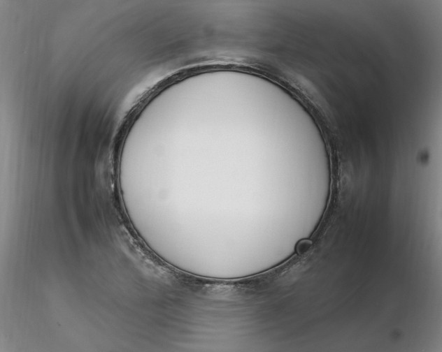 X0000116271172200912211752