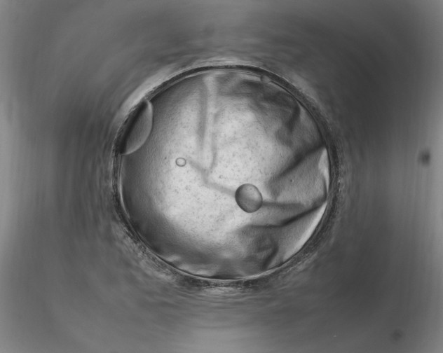 X0000116271173200912211752