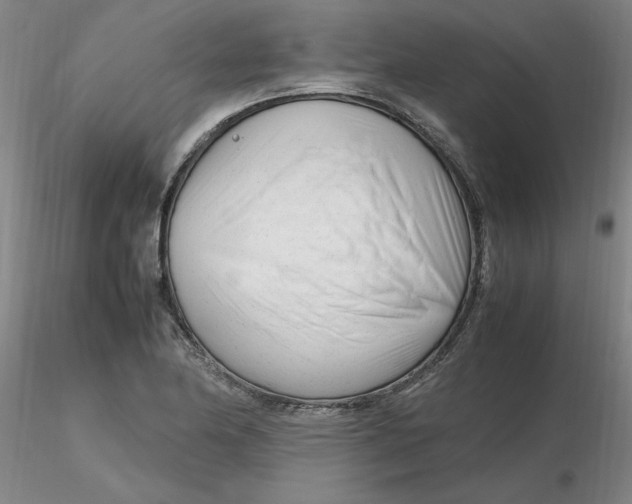 X0000116271174200912211752