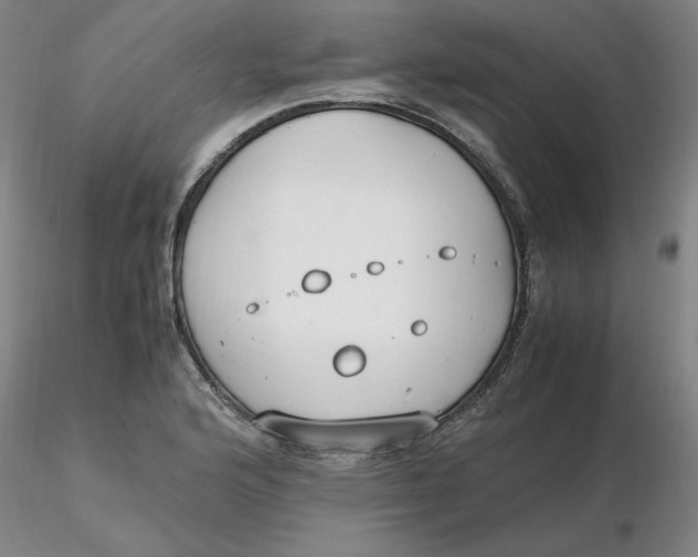 X0000116271176200912211751