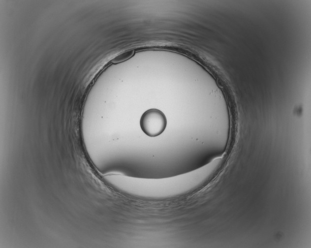 X0000116271177200912211751
