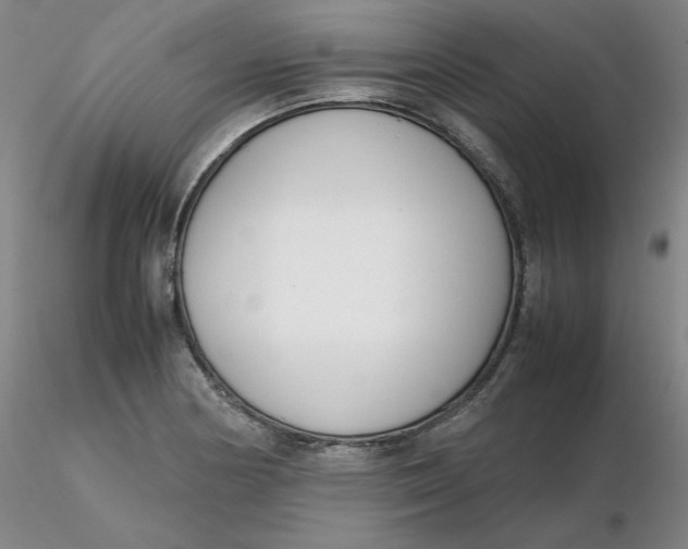 X0000116271178200912211751