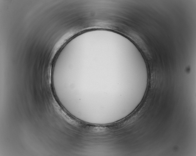 X0000116271180200912211751
