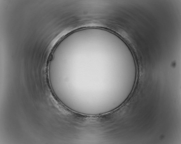 X0000116271181200912211751