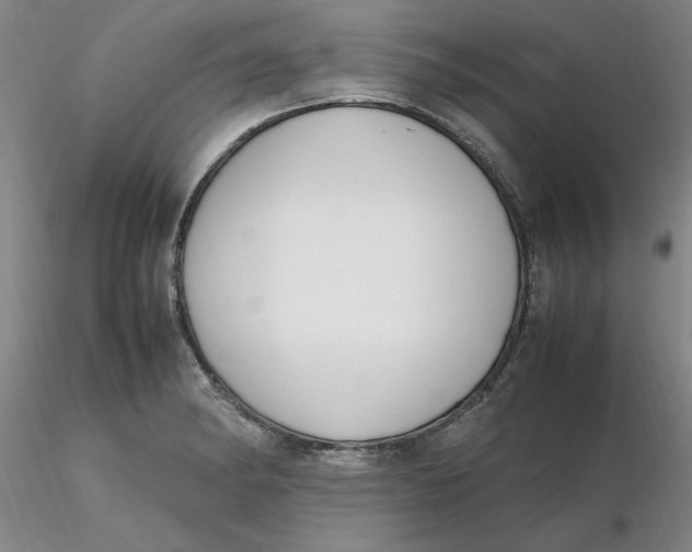 X0000116271182200912211751