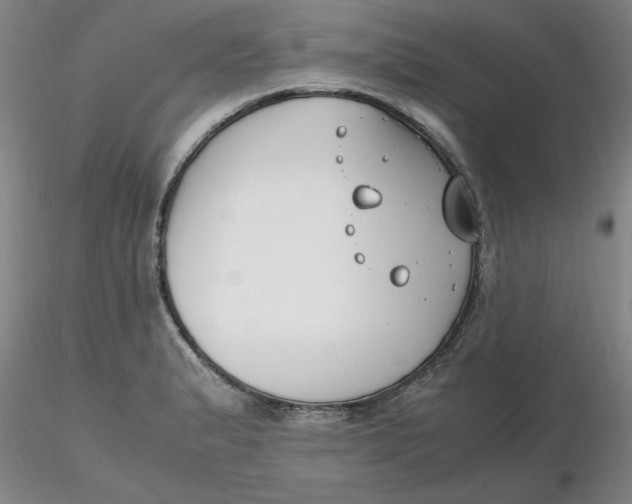 X0000116271183200912211751