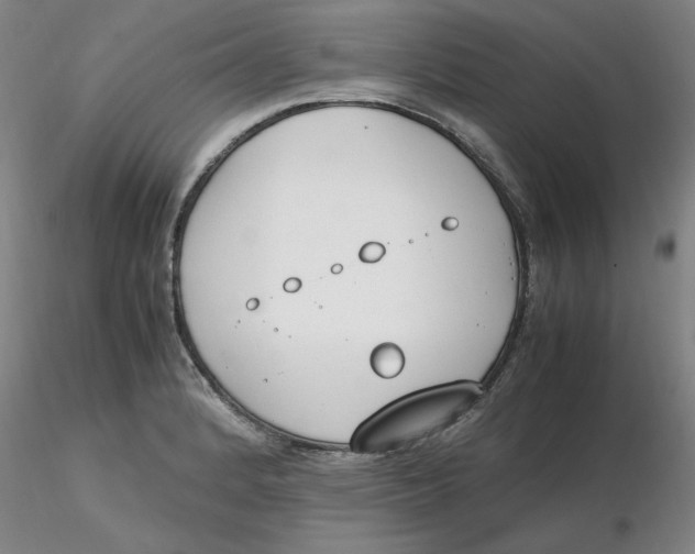 X0000116271184200912211751