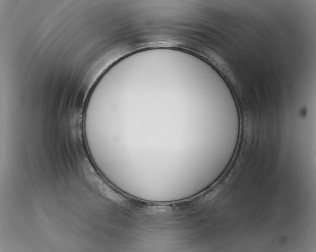 X0000116271186200912211751