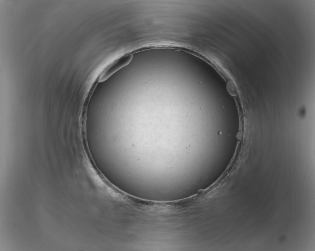 X0000116271189200912211751