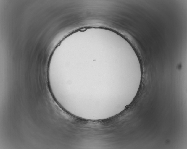 X0000116271191200912211751
