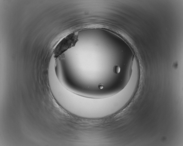 X0000116271193200912211751