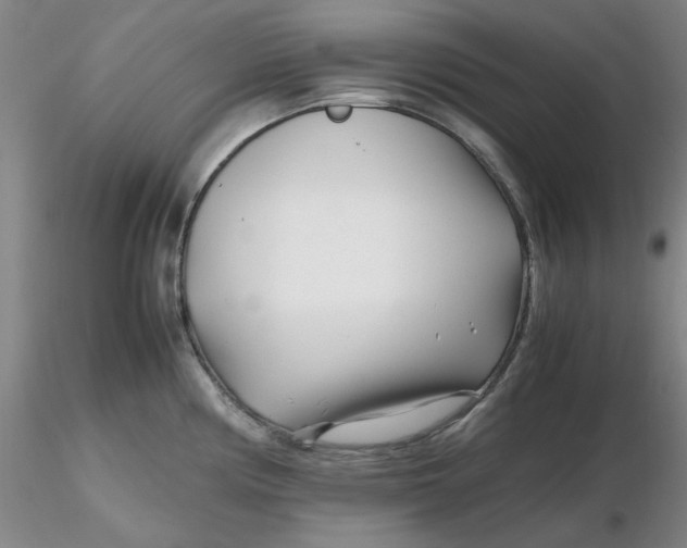 X0000116271194200912211751