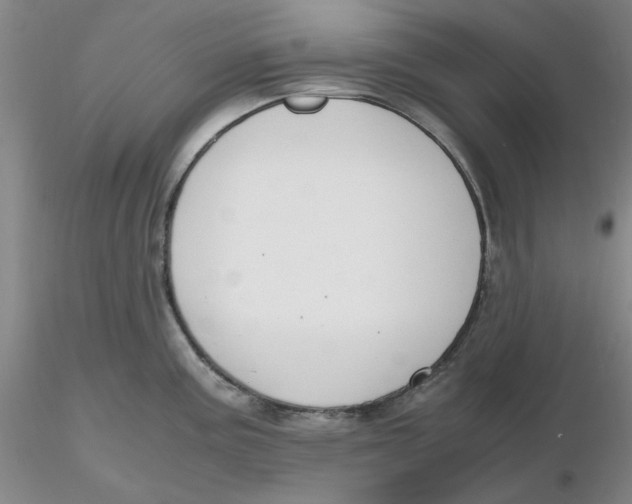 X0000116271195200912211751