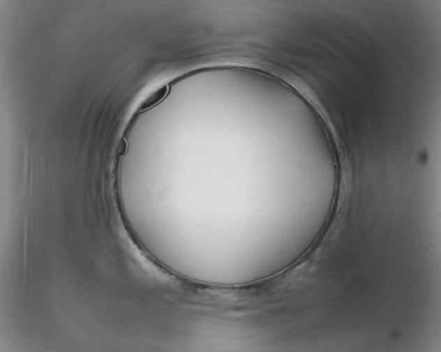 X0000116271197200912211751
