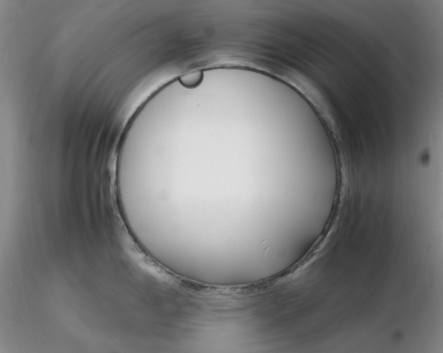 X0000116271198200912211751