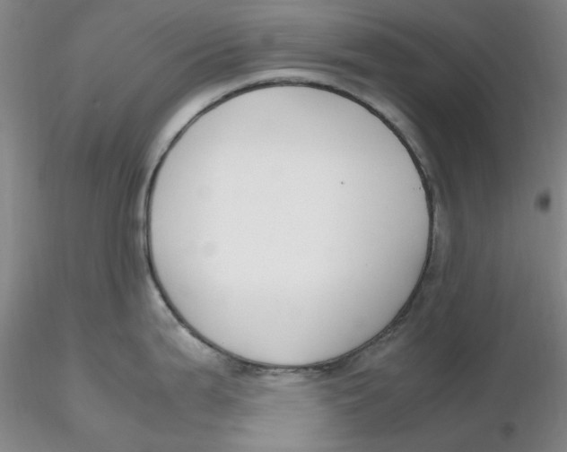 X0000116271199200912211751