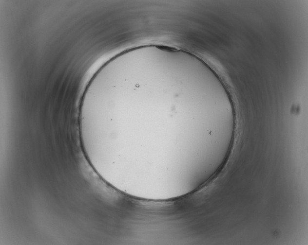 X0000116271200200912211751