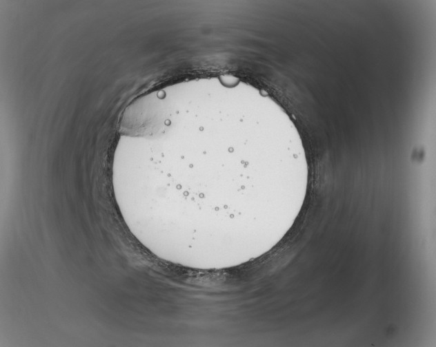 X0000116271201200912211750