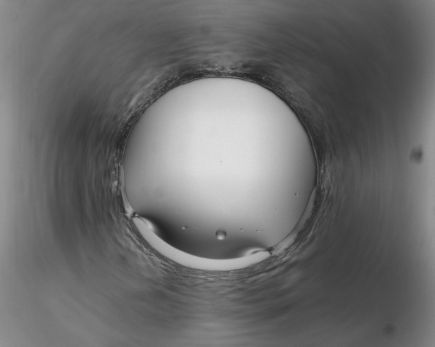 X0000116271202200912211750