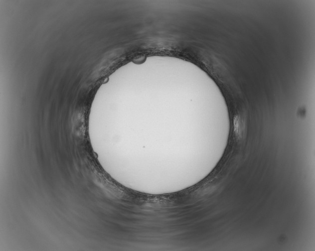 X0000116271203200912211750