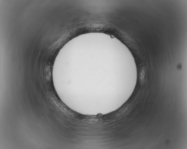 X0000116271204200912211750