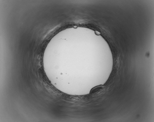 X0000116271205200912211750