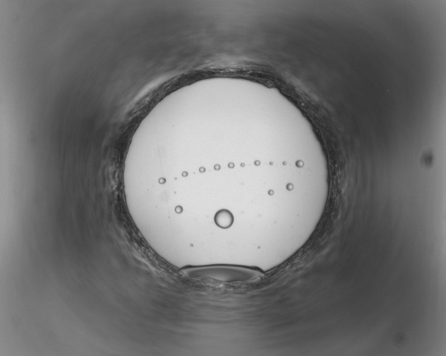 X0000116271206200912211750