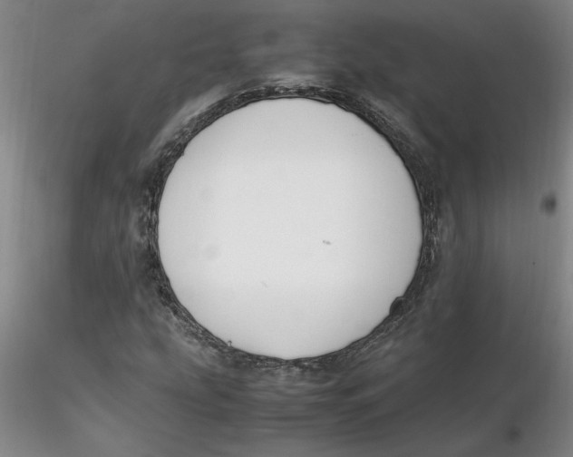 X0000116271207200912211750