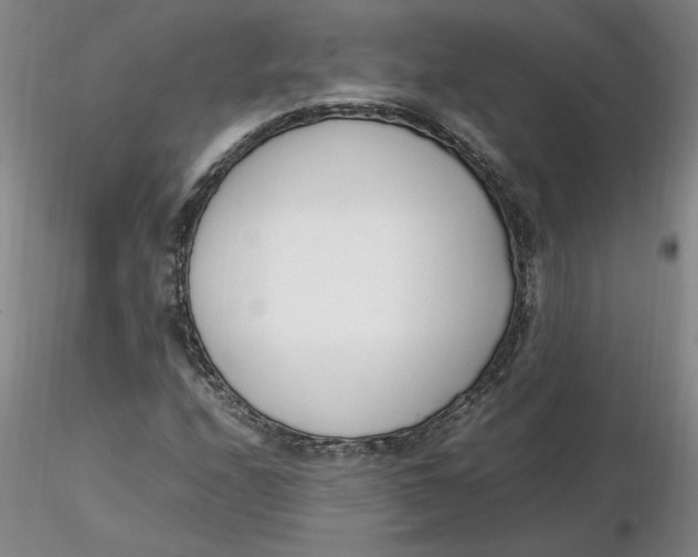 X0000116271208200912211750