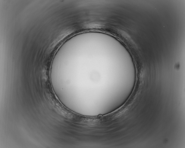 X0000116271209200912211750