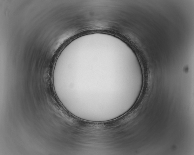X0000116271210200912211750