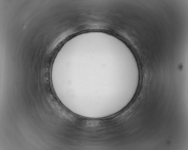 X0000116271211200912211750