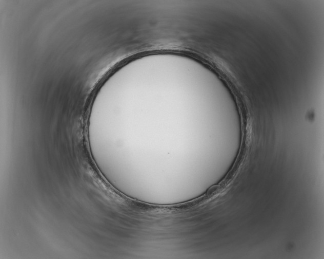 X0000116271212200912211750