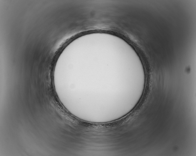 X0000116271214200912211750