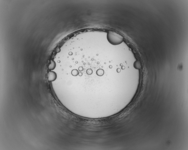 X0000116271215200912211751