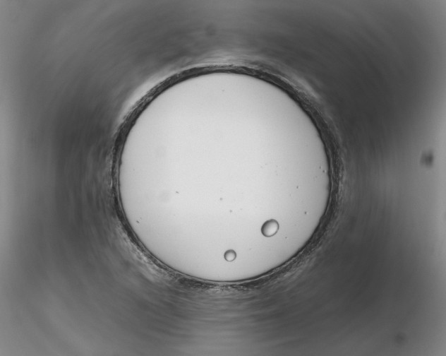 X0000116271216200912211751