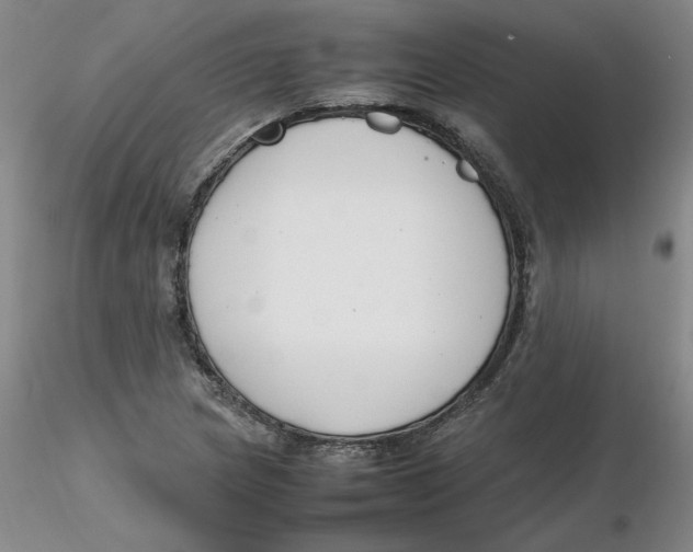 X0000116271217200912211751